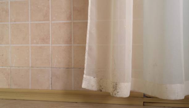 Best Air Quality Testing for Mold Spores  in Roxborough Park, CO