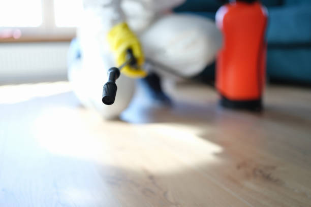 Best Residential Mold Inspection & Testing  in Roxborough Park, CO