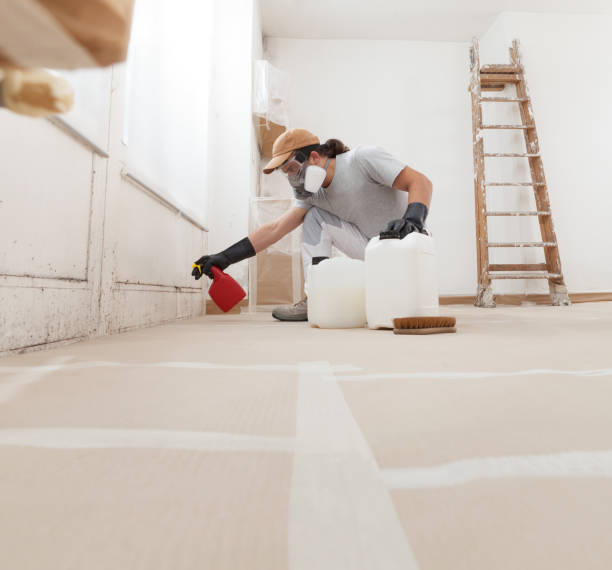 Reliable Roxborough Park, CO Mold Removal Solutions